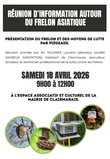 Sensibilisation au frelon asiatique